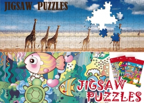 Shenzhen Akidsfun. Co., Ltd