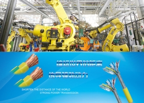 深圳市桥国通电线电缆有限公司