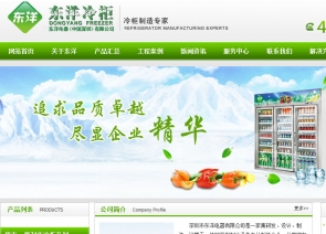 深圳市东洋电器有限公司