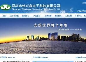 伟兴鑫电子科技有限公司